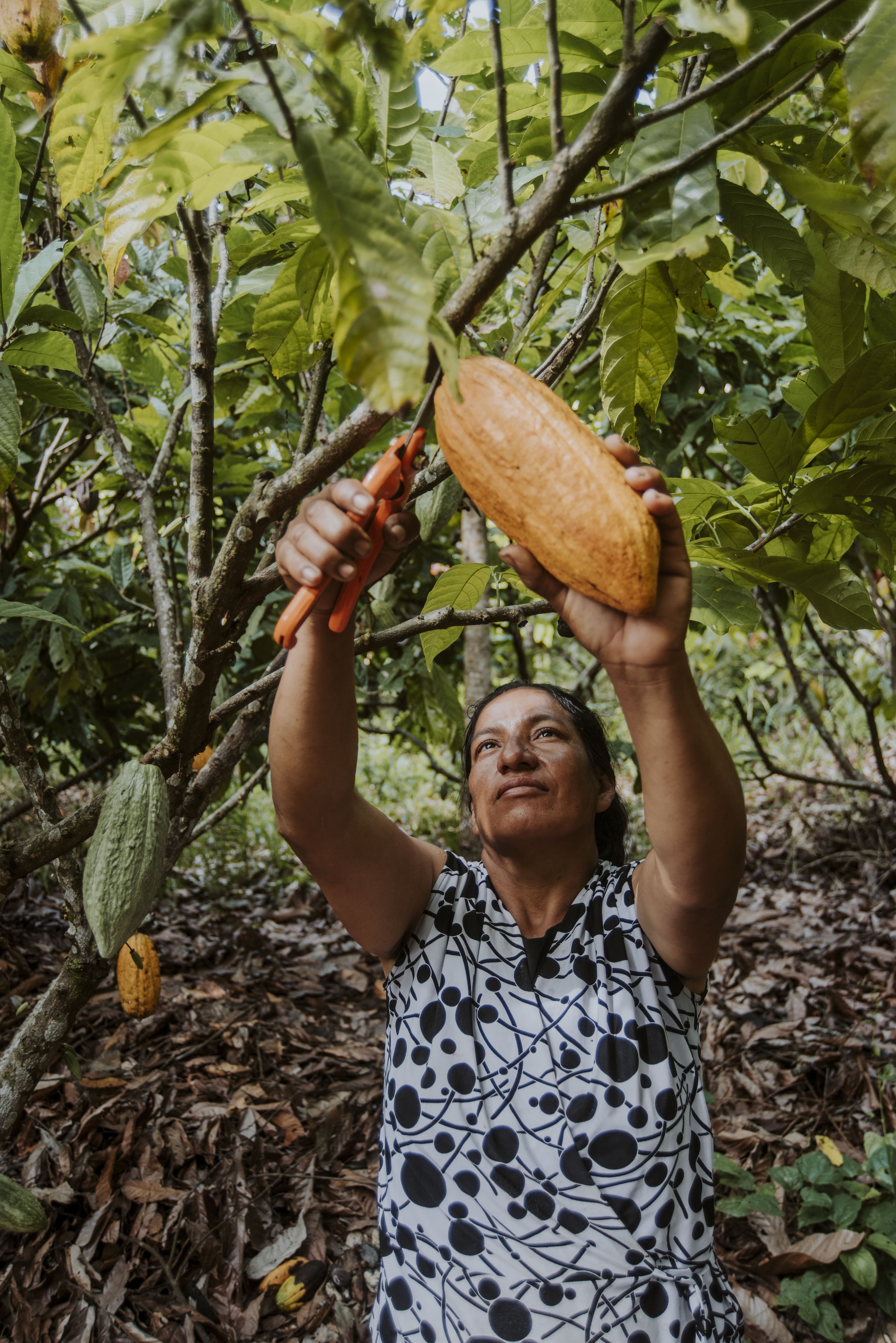 Farm Sourcing